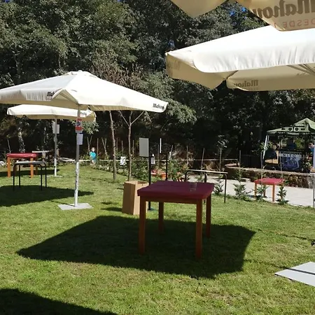 Holiday home Casa Del Auton - Couto Mixto Rubias